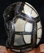 Septarian Dragon Egg Geode - Black Calcite Crystals #34701-4